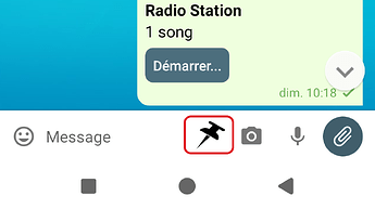Pinned button when you write/edit a message