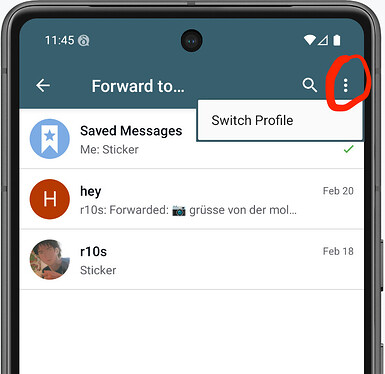 Screenshot 2026-03-01 at 11.45.54