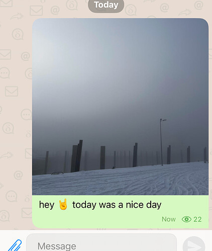 537757898-66554e2c-fc36-4704-acd4-595827ff509b