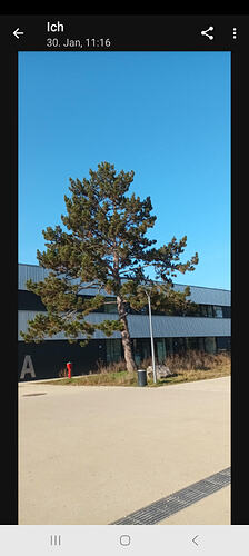 Screenshot_20260216_160510_Delta Chat